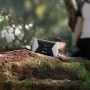 TP-Link Мобильный Wi‑Fi роутер N300 с поддержкой LTE Advanced