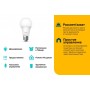 TP-Link Умная диммируемая лампа TP-Link Умная диммируемая лампа